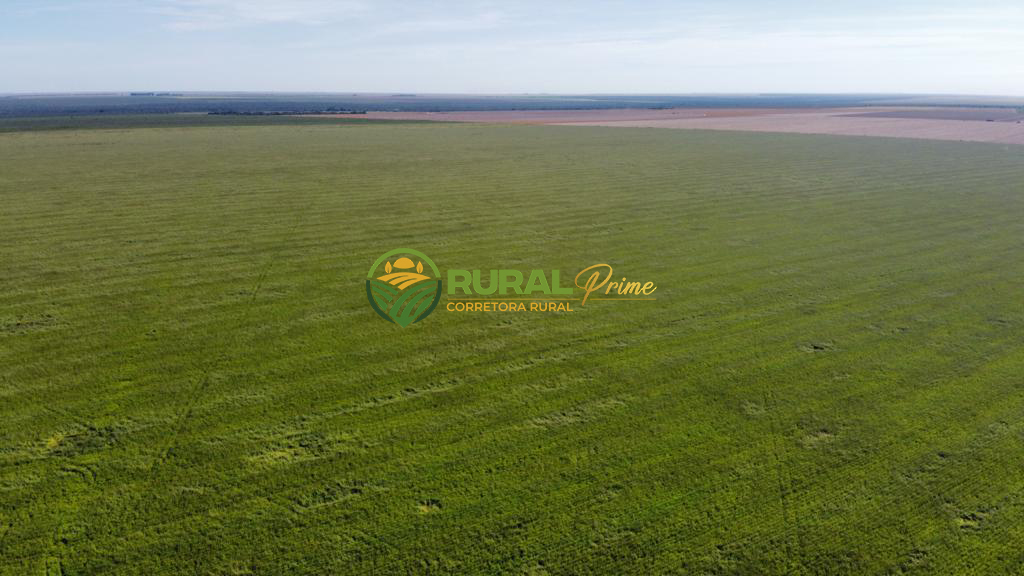 Fazenda (São Desidério-BA)