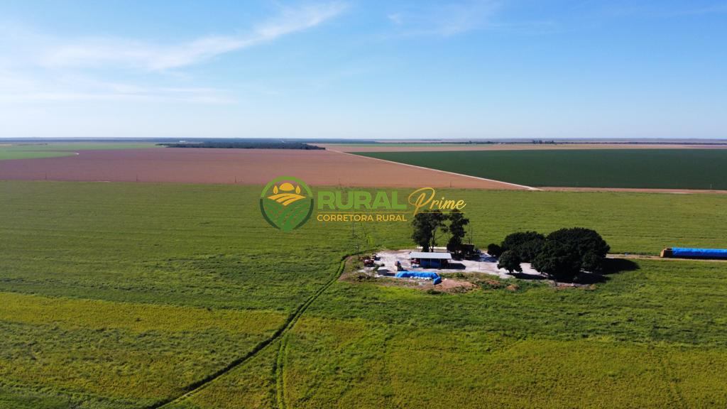 Fazenda (São Desidério-BA)