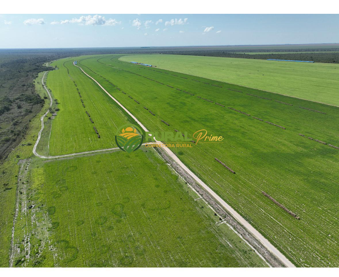 Fazenda à venda (Anel da Soja - BA)