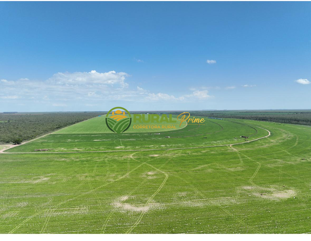 Fazenda à venda (Anel da Soja - BA)