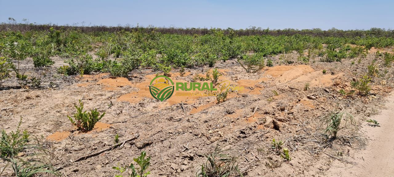Fazenda à venda em São Desidério - 6.780ha