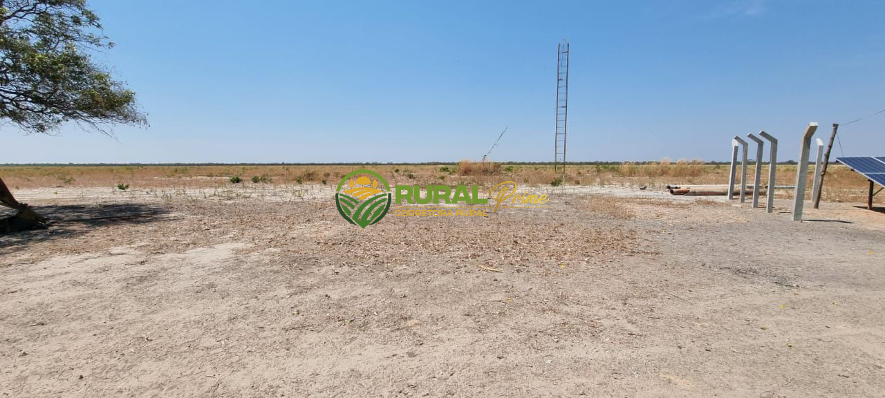 Fazenda à venda em São Desidério - 6.780ha
