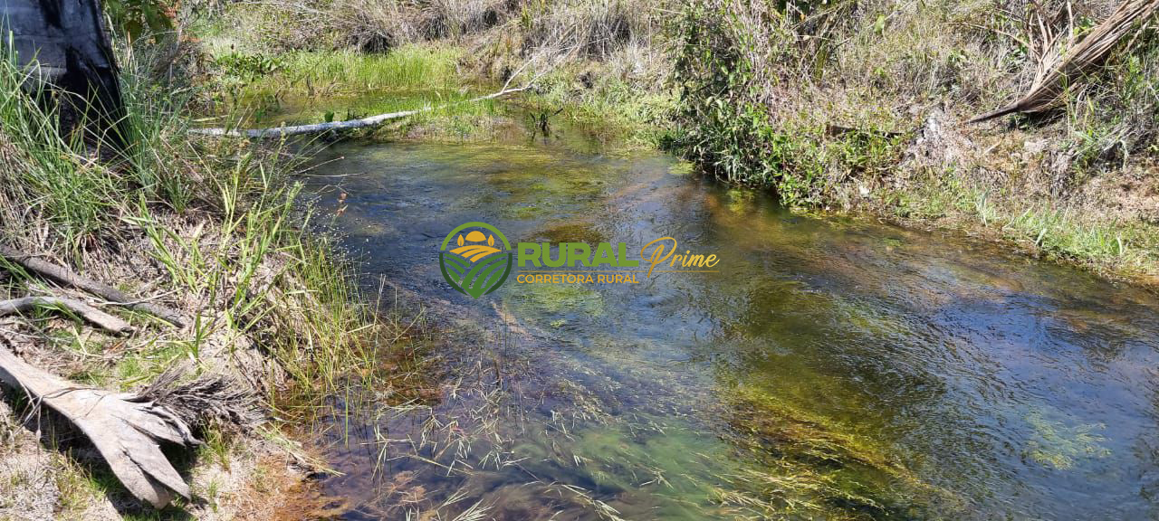 Fazenda à venda em São Desidério - 6.780ha