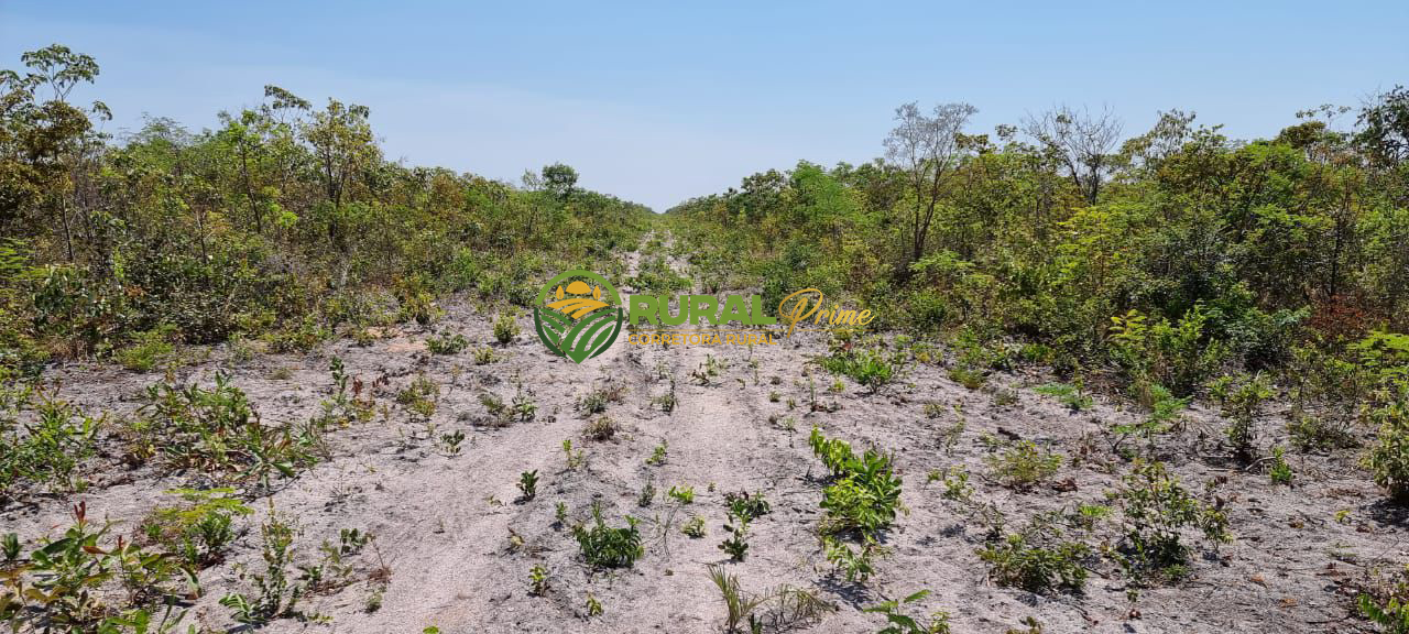 Fazenda à venda em São Desidério - 6.780ha