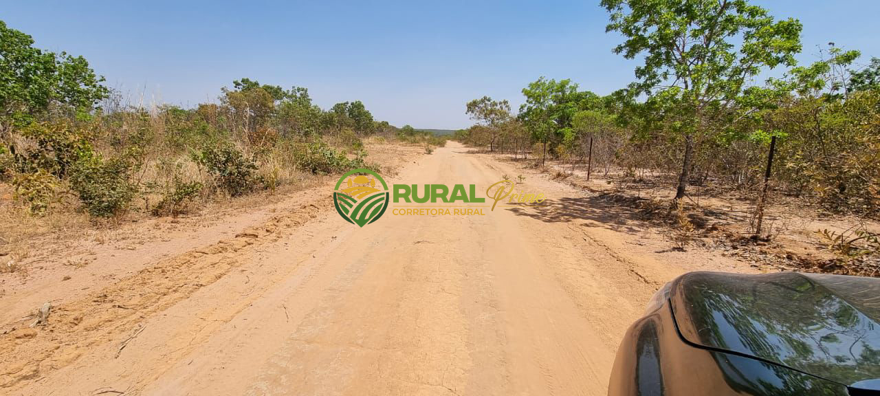 Fazenda à venda em São Desidério - 6.780ha