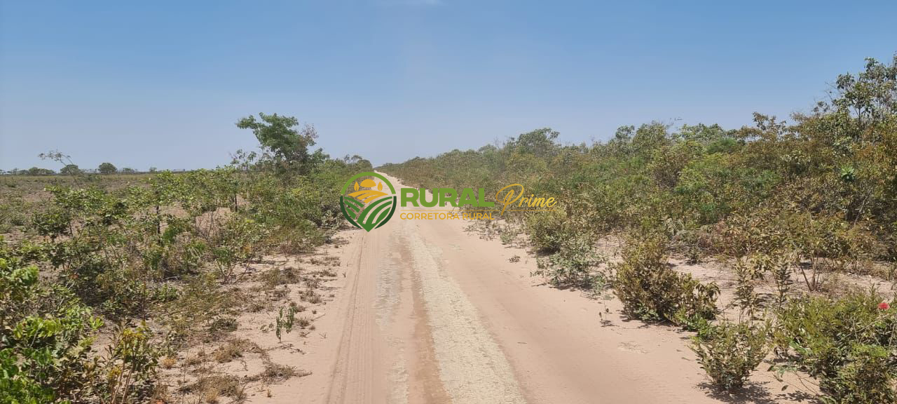 Fazenda à venda em São Desidério - 6.780ha