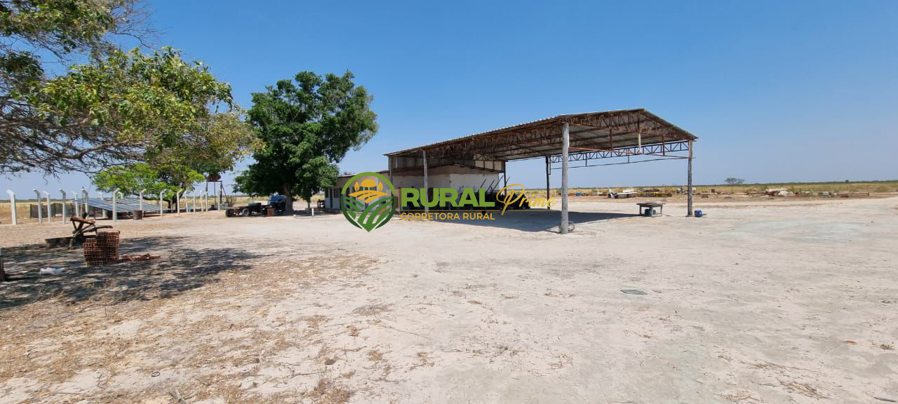 Fazenda à venda em São Desidério - 6.780ha