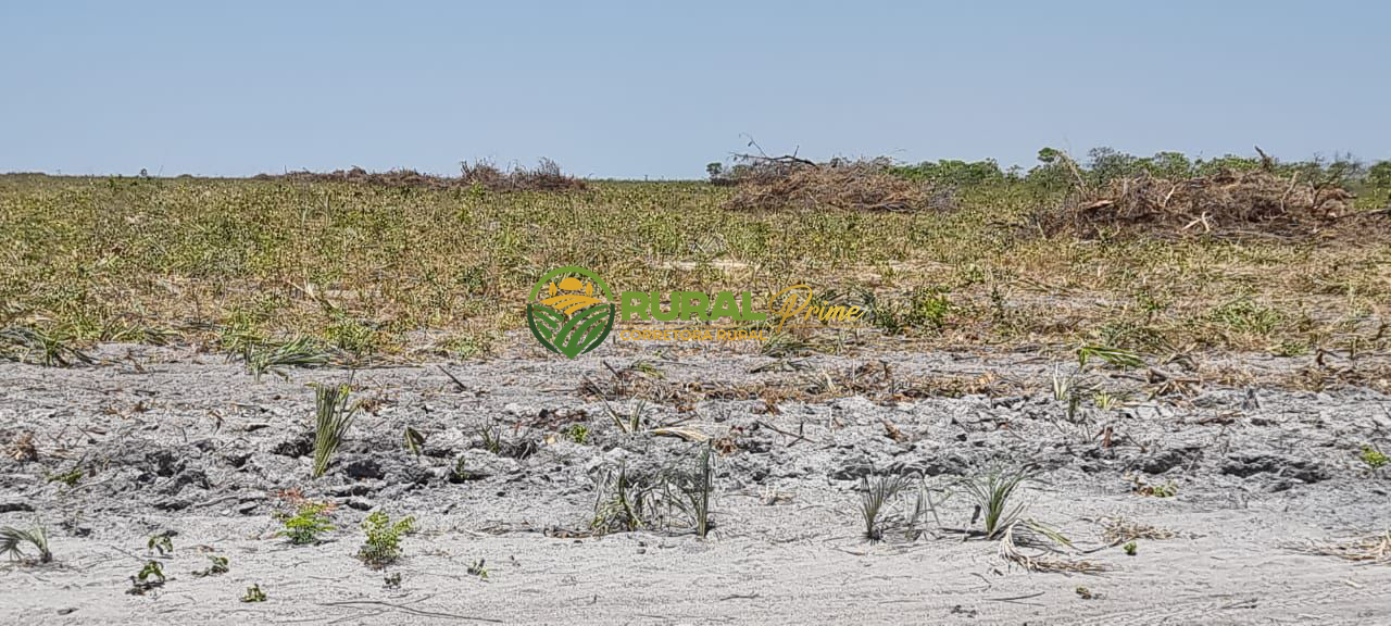 Fazenda à venda em São Desidério - 6.780ha