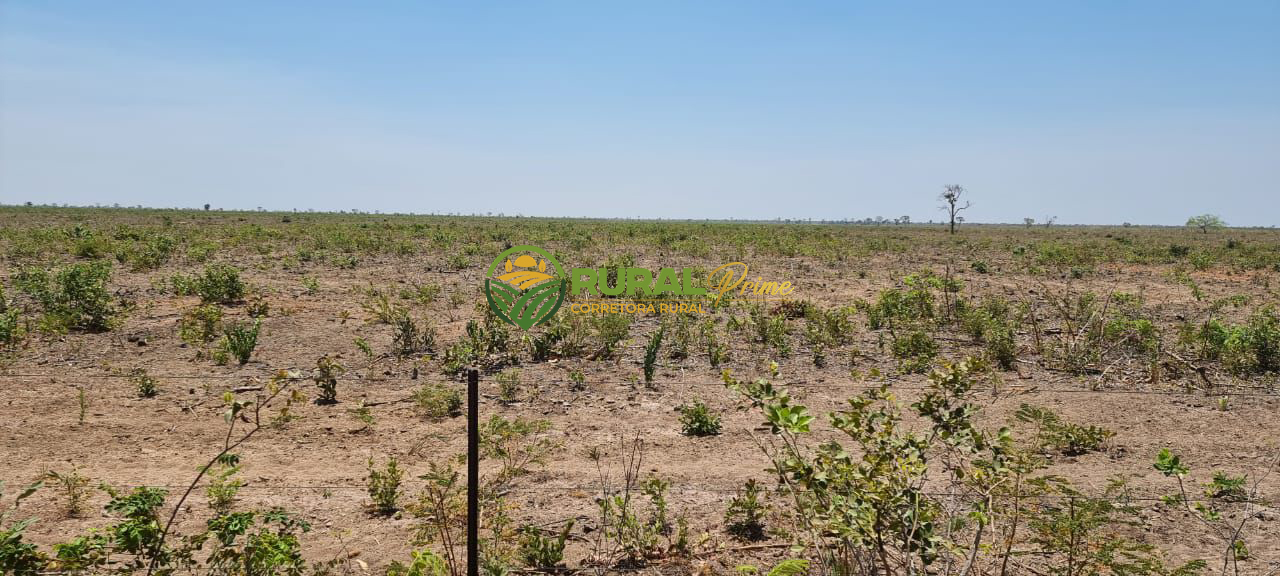 Fazenda à venda em São Desidério - 6.780ha